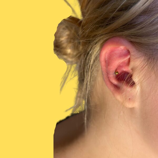 CONCH